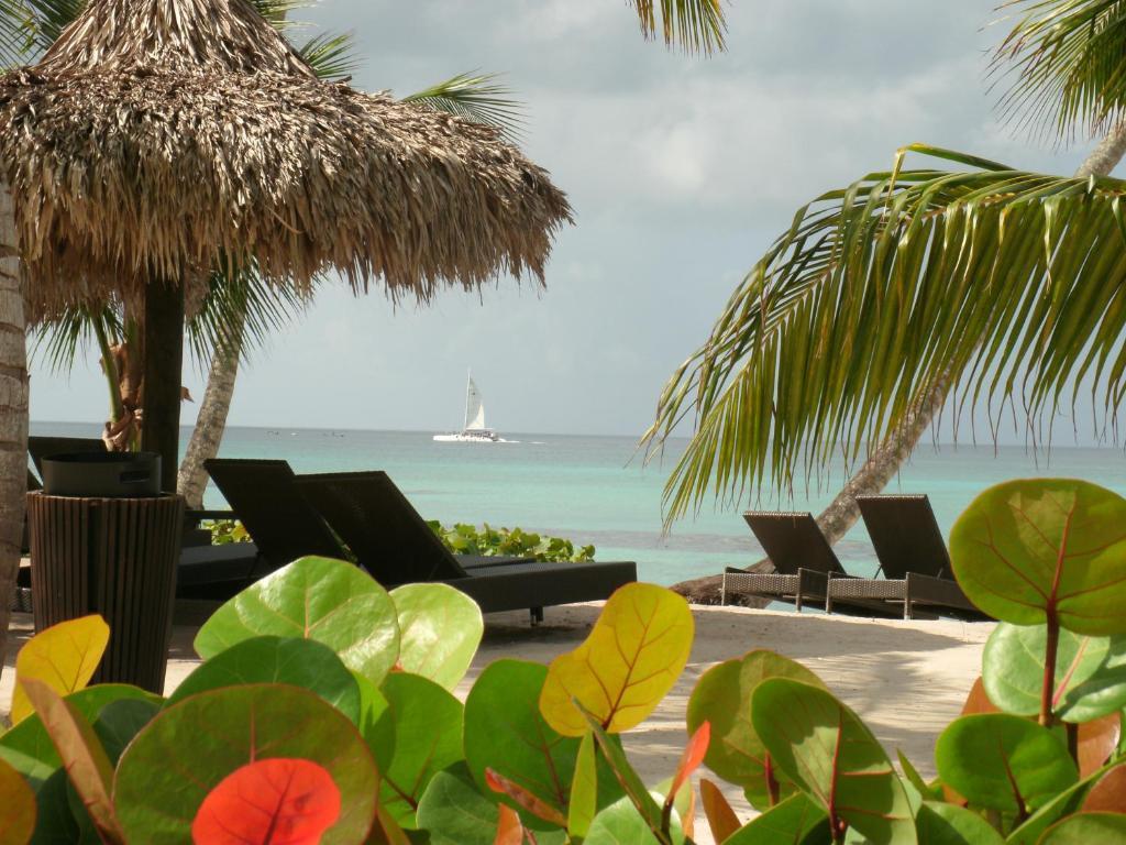 Miranda Bayahibe Otel Dış mekan fotoğraf